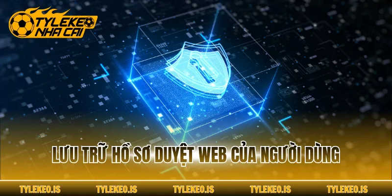 Lưu trữ hồ sơ duyệt web của người dùng