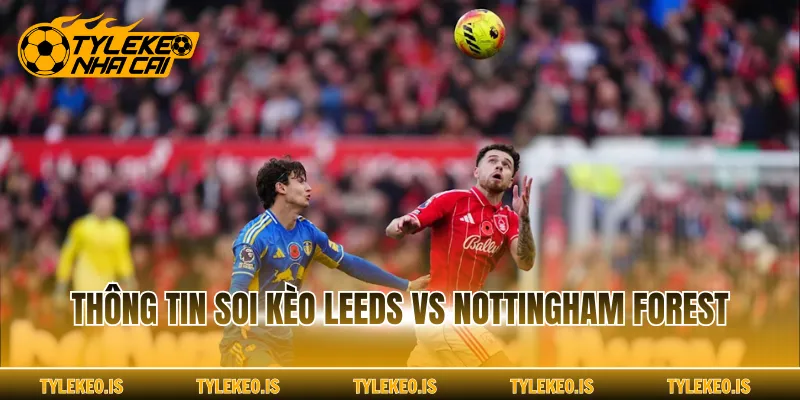 Thông tin soi kèo Leeds vs Nottingham Forest